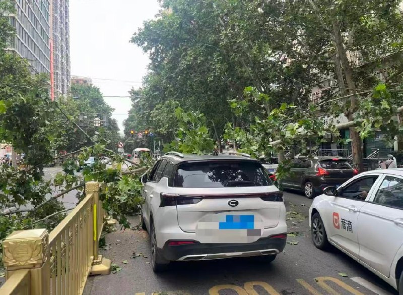 陕西 西安 #树倒 #砸车这种情况我该找谁？保险公司会赔偿吗？感谢家人们投稿！陕西 西安 #树倒 #砸车这种情况我该找谁？保险公司会赔偿吗？感谢家人们投稿！
