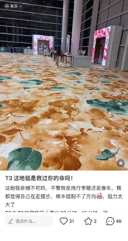 广州机场花了2500亿盖了新的T3航厦，据说花了好几亿台币铺了8万平方米的厚地毯