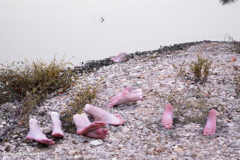 #猎奇小屋 #实体娃娃 #足控 #奇怪的性癖    谁把烧烤食材，洗干净落在河边了#猎奇小屋 #实体娃娃 #足控 #奇怪的性癖    谁把烧烤食材，洗干净落在河边了