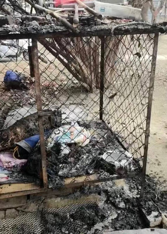 2月1日 江苏连 云港市东海县，网传某小区两名男孩玩 #烟花 时，将点燃的烟花扔进 狗笼 导致一只养了7年的‌ 萨摩耶 ‌被 活活烧死2月2日，狗主人发布微博称：‌‌拒绝家长6000元赔偿私了，要求公开道歉，目前警方已介入