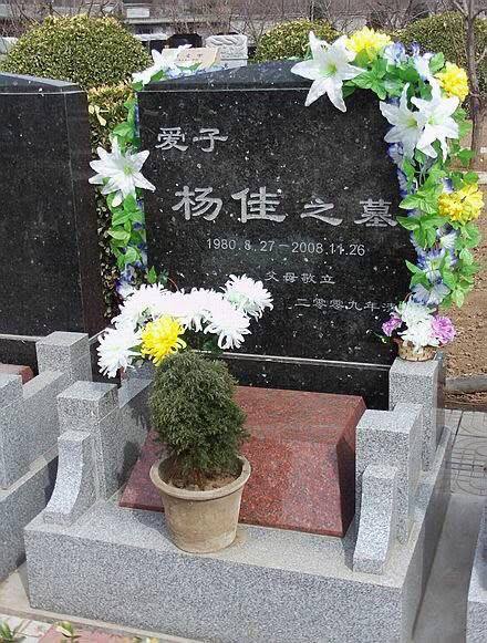 墙国新罪名：#扫墓罪 #杨佳 #向杨佳致敬🫡感谢家人们投稿！墙国新罪名：#扫墓罪 #杨佳 #向杨佳致敬🫡感谢家人们投稿！