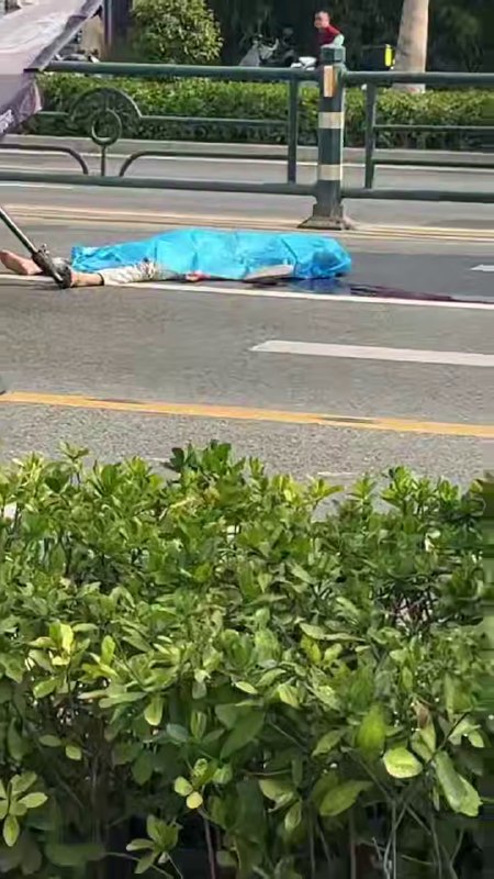 今早8点多，海南 三亚 鹿城大道 #鬼火少年 飙车失败，有一个已经盖上了感谢家人们投稿！今早8点多，海南 三亚 鹿城大道 #鬼火少年 飙车失败，有一个已经盖上了感谢家人们投稿！