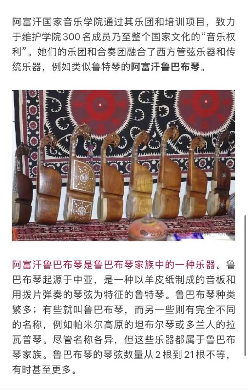 离谱！阿富汗数百件乐器被焚毁，聆听音乐被定为犯罪！感谢家人们投稿！离谱！阿富汗数百件乐器被焚毁，聆听音乐被定为犯罪！感谢家人们投稿！