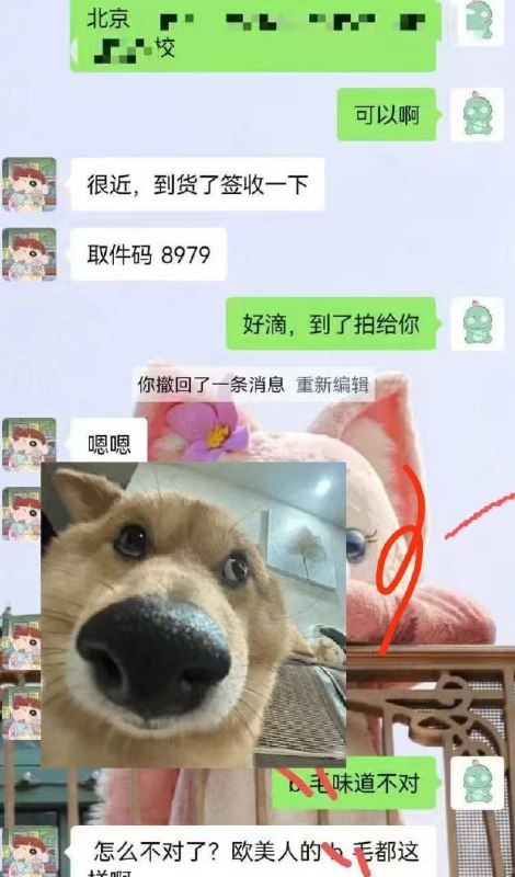 #聊天记录 #吃瓜 买逼毛被骗了🤣感谢家人们投稿！#聊天记录 #吃瓜 买逼毛被骗了🤣感谢家人们投稿！