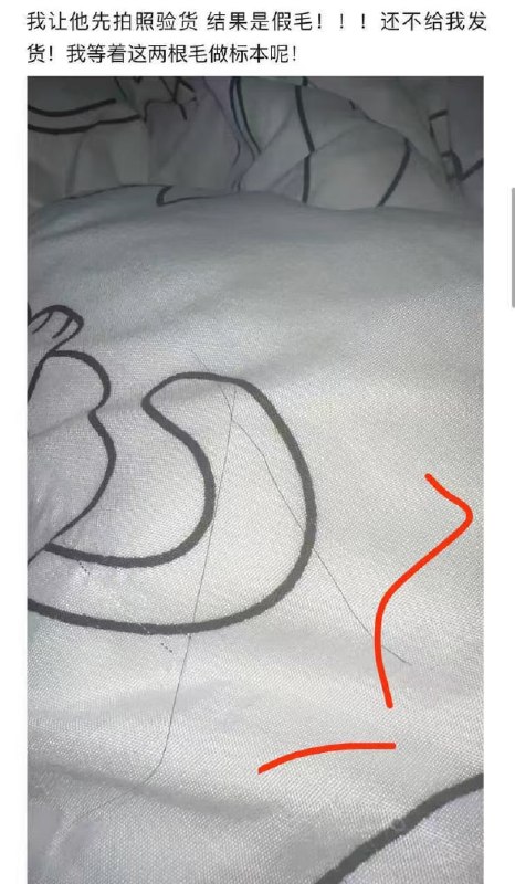 #聊天记录 #吃瓜 买逼毛被骗了🤣感谢家人们投稿！#聊天记录 #吃瓜 买逼毛被骗了🤣感谢家人们投稿！