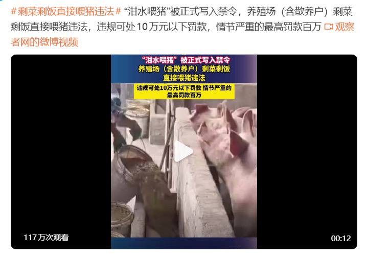 剩菜剩饭直接喂猪违法“泔水喂猪