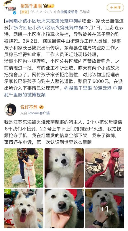 到底是谁在替狗主人和解感谢 yellow  投稿！