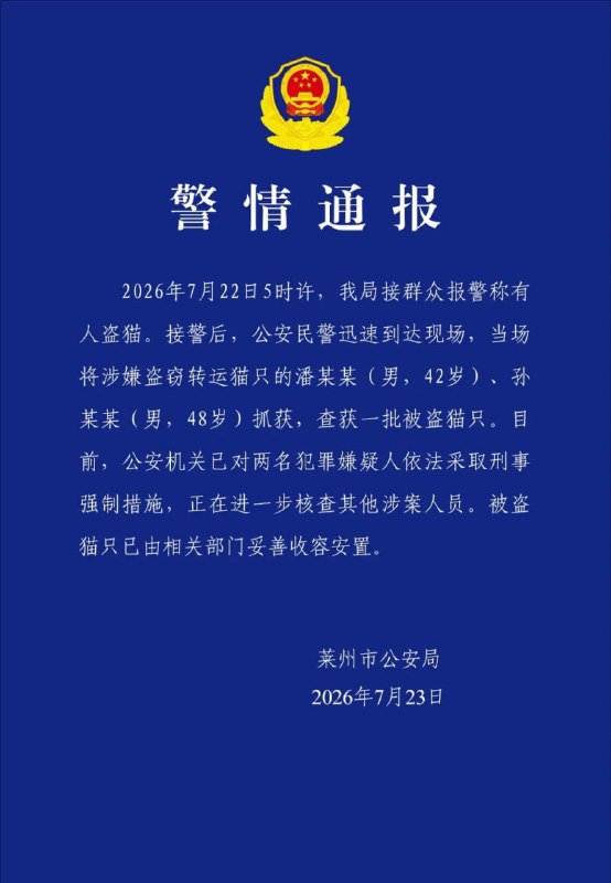 莱州警方通报数百只猫被盗窃转运感谢家人们投稿！莱州警方通报数百只猫被盗窃转运感谢家人们投稿！