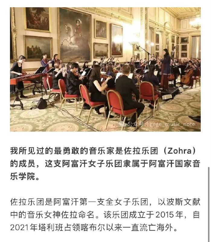 离谱！阿富汗数百件乐器被焚毁，聆听音乐被定为犯罪！感谢家人们投稿！离谱！阿富汗数百件乐器被焚毁，聆听音乐被定为犯罪！感谢家人们投稿！