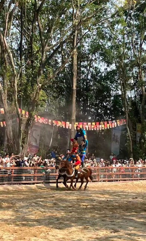 3月15日，广州长隆野生动物世界的骑士剧场，发生了一起让人揪心的意外