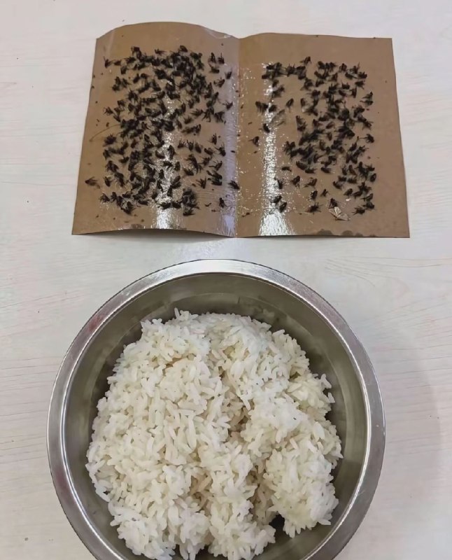 吃顿好的感谢家人们投稿！吃顿好的感谢家人们投稿！