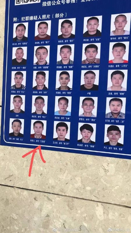 蛤？感谢家人们投稿！