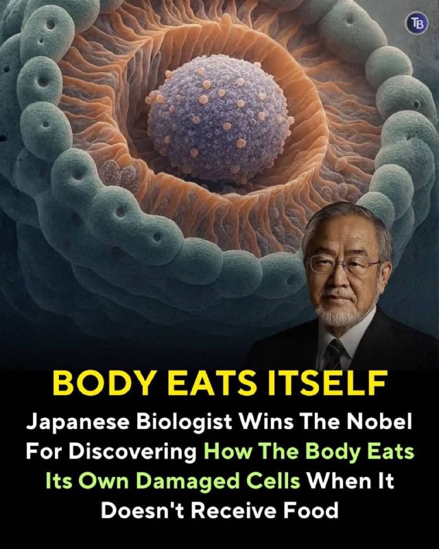 一名法国放射科医生：「如果我得了癌症，我甚至不会踏进医院大门半步.…！」｜真正的治疗和预防，其实都回归「关掉癌细胞的糖引擎」一切从「禁食」开始….作为一名放射科医生，我见过太多癌症患者在「化疗」的猛烈攻击下离世，那些「副作用」有时比疾病本身更残酷