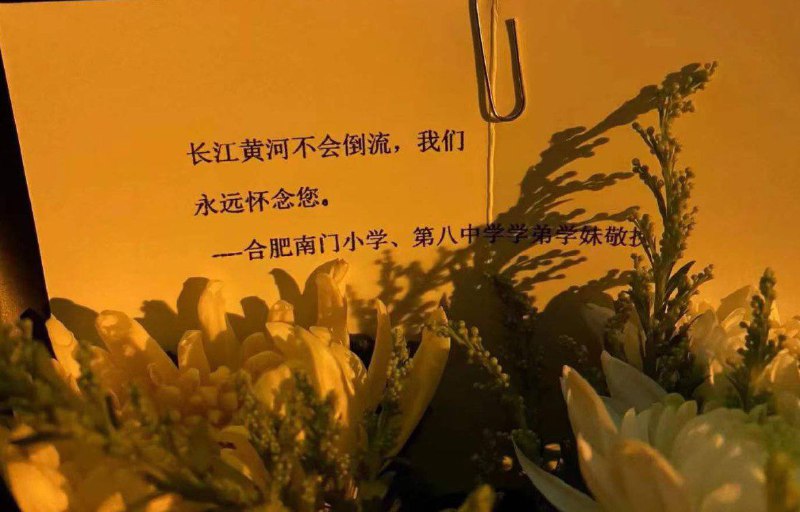 #合肥 #李克强#合肥 #李克强