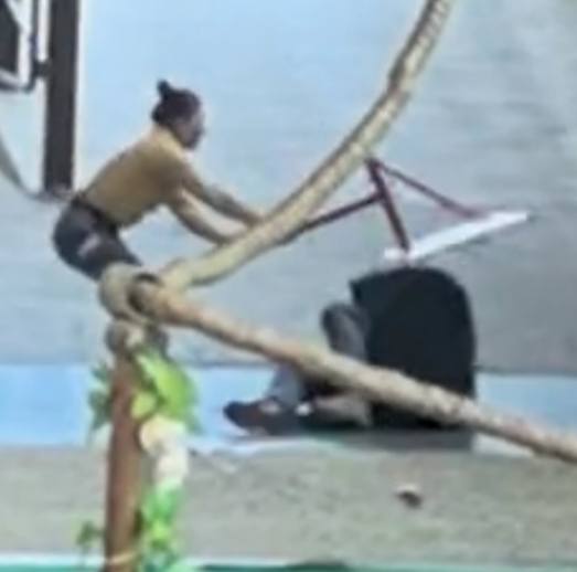 #杭州 野生动物园 #熊 表演 时突然 袭击人 太吓人了 #黑熊感谢家人们投稿！#杭州 野生动物园 #熊 表演 时突然 袭击人 太吓人了 #黑熊感谢家人们投稿！