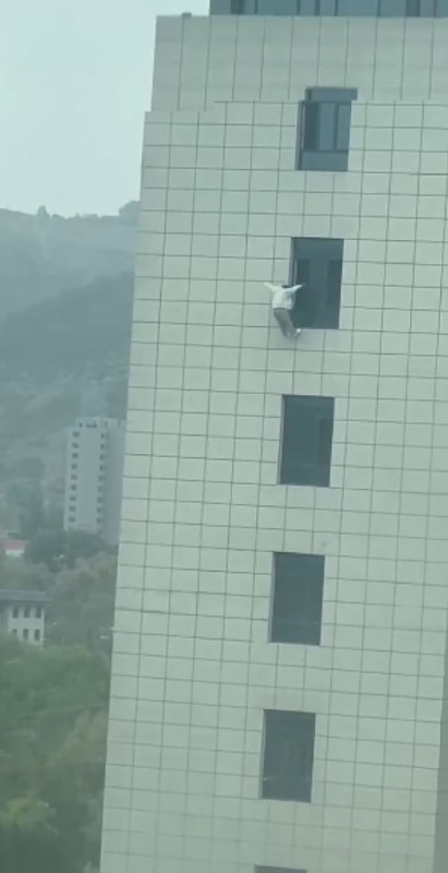 不想跳...又好面子...算了..还是掉吧..反正下面有充气垫...结果...消防员把充气垫子放歪了🙏#跳楼感谢家人们投稿！不想跳...又好面子...算了..还是掉吧..反正下面有充气垫...结果...消防员把充气垫子放歪了🙏#跳楼感谢家人们投稿！