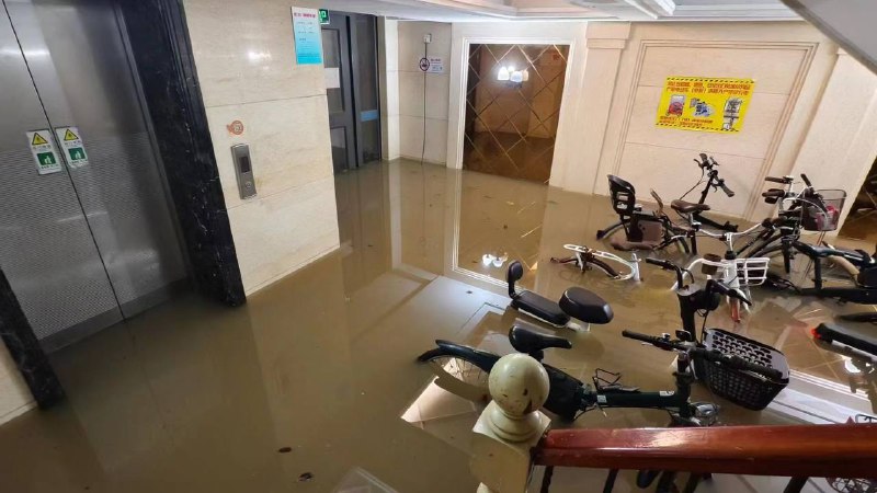 上海 #暴雨上海 #暴雨