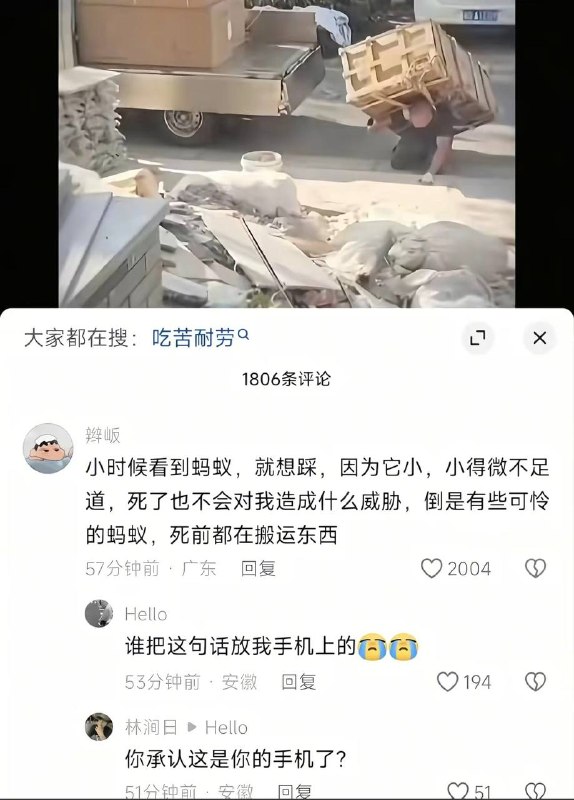 真怀念小时候拿放大镜烧蚂蚁的日子啊😁感谢家人们投稿！