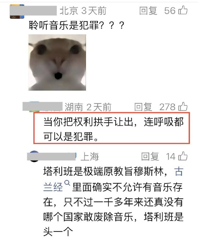 离谱！阿富汗数百件乐器被焚毁，聆听音乐被定为犯罪！感谢家人们投稿！离谱！阿富汗数百件乐器被焚毁，聆听音乐被定为犯罪！感谢家人们投稿！