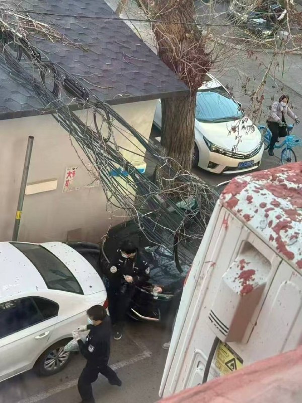 网传 4月4日，辽宁 沈阳 和平区 太原街 南五马路有人杀人，一男子持刀无故砍杀路人，一人反抗搏斗时头部被砍掉，据知情人士称有4人被杀，男子行凶后 #跳楼 身亡