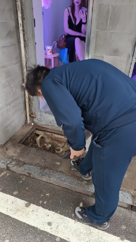 查个水表而已，环境难度直接拉满……我这是抄表还是探店？感谢家人们投稿！查个水表而已，环境难度直接拉满……我这是抄表还是探店？感谢家人们投稿！