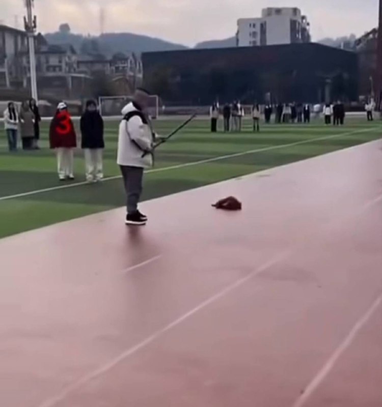 近日 四川 雅安 一所学校员工被曝在操场打死一只 流浪狗 此事经网络传播后引发广泛关注与讨论