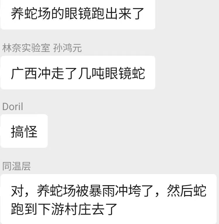 广西因为洪水 养蛇场 跑了很多眼镜蛇出来感谢家人们投稿！广西因为洪水 养蛇场 跑了很多眼镜蛇出来感谢家人们投稿！