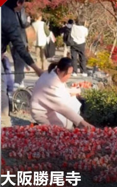 一名 中国 女子 在 #日本 大阪 胜尾寺 毁坏“ 台湾 达摩 艺术品”在大阪胜尾寺，一些艺术品，如“台湾的形状”和“TW”，是由台湾游客捐赠的“获胜达摩”玩偶排列而成，被一名据信是中国籍的女游客毁坏