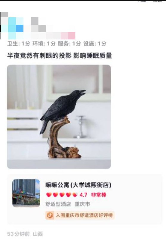 目前，嘛嘛公寓在美团上已更名为嘛嘛酒店重新上线，但因有网友前往“冲塔”，其评论区已被关闭