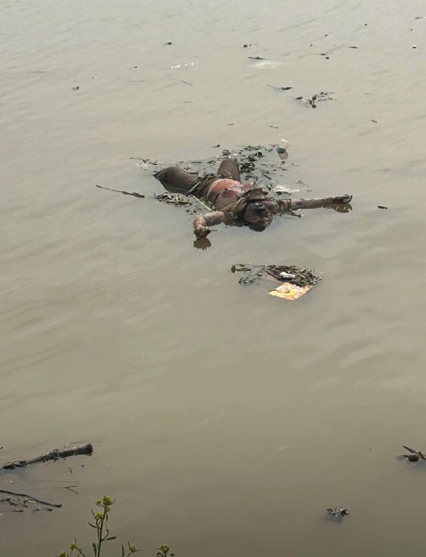 4月26日，湖南惊现浮尸感谢 Group  投稿！4月26日，湖南惊现浮尸感谢 Group  投稿！