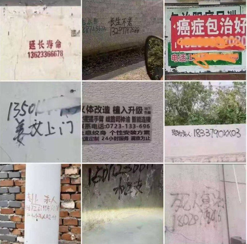 延长寿命，长生不老：换器官癌症包治好：监狱捞人姜文上门：美女上门宠物变人：拐卖的小孩上户口死人复活：替人顶罪感谢家人们投稿！