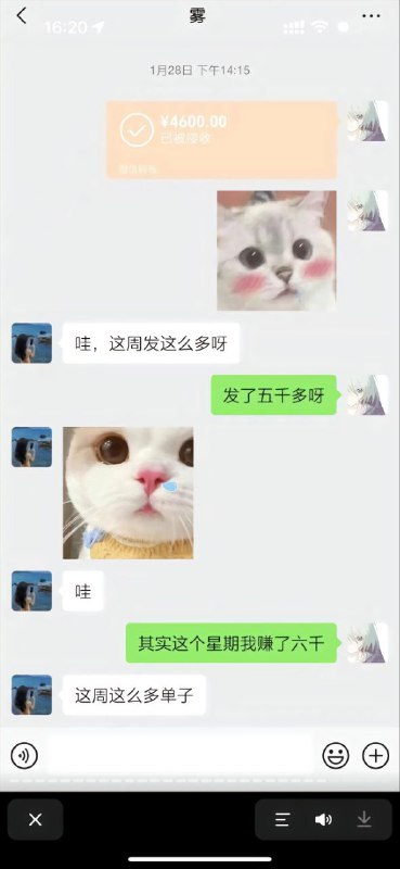 #重庆 #跳江 #胖猫 #谭竹 #悬赏#重庆 #跳江 #胖猫 #谭竹 #悬赏