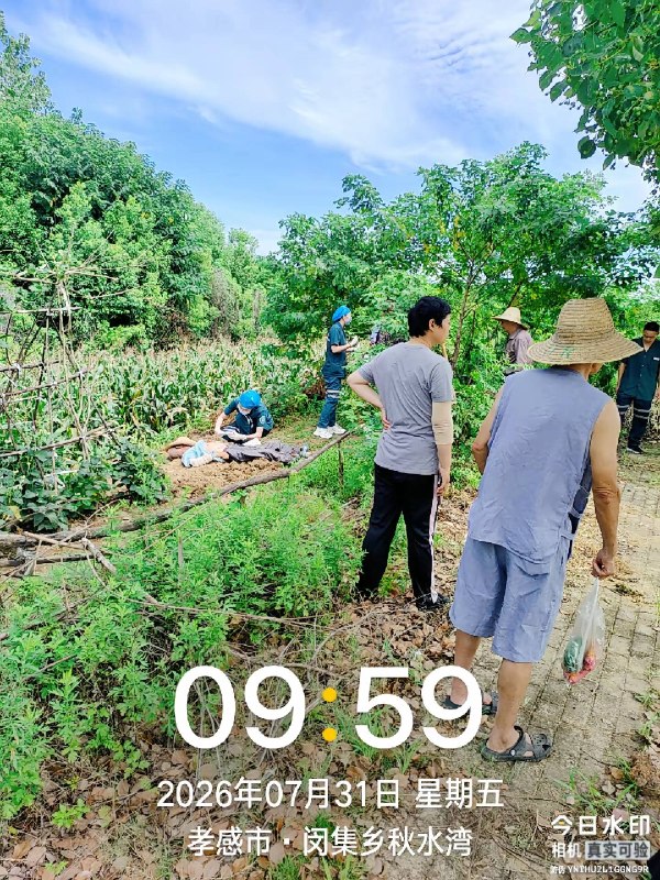 7月31日，湖北孝感，一大爷中暑身亡感谢 Group  投稿！