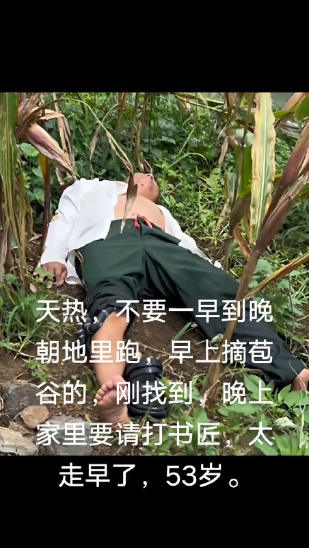 8月10日，湖南一男子在地里摘包谷被银环蛇咬死感谢 Group  投稿！