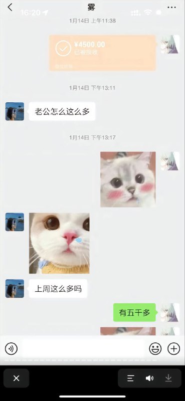 #重庆 #跳江 #胖猫 #谭竹 #悬赏#重庆 #跳江 #胖猫 #谭竹 #悬赏