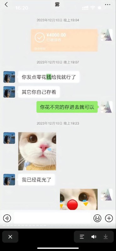 #重庆 #跳江 #胖猫 #谭竹 #悬赏#重庆 #跳江 #胖猫 #谭竹 #悬赏