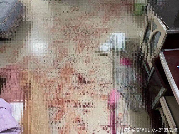 2022年的事，我竟然2026年才看到，可见热度被压的有多厉害13岁孙女，对着养她的奶奶，砍了20几刀