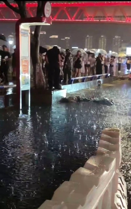 #重庆洪崖洞电死人 是不是真的 附近有人在吗网传电死两人 #吃瓜 #漏电 #突发感谢家人们投稿！#重庆洪崖洞电死人 是不是真的 附近有人在吗网传电死两人 #吃瓜 #漏电 #突发感谢家人们投稿！