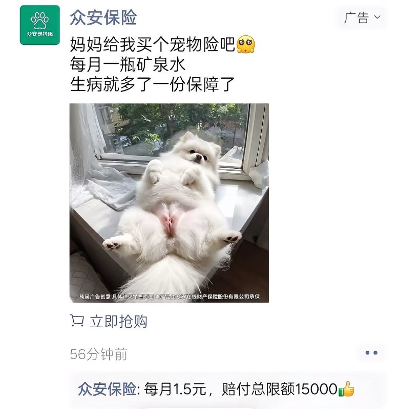 感谢家人们投稿！