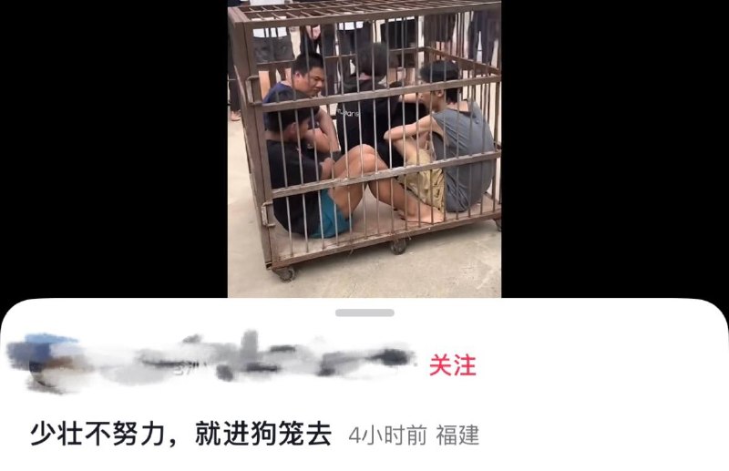 “少壮不努力，就进狗笼去”😢感谢家人们投稿！“少壮不努力，就进狗笼去”😢感谢家人们投稿！