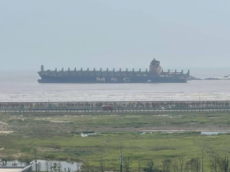 8月7，搁浅的海上巨轮 ，老板损失惨重 几千个W没了，，只知你是大海里遨游的船只，估计此刻才能体会什么叫无能为力！感谢家人们投稿！8月7，搁浅的海上巨轮 ，老板损失惨重 几千个W没了，，只知你是大海里遨游的船只，估计此刻才能体会什么叫无能为力！感谢家人们投稿！