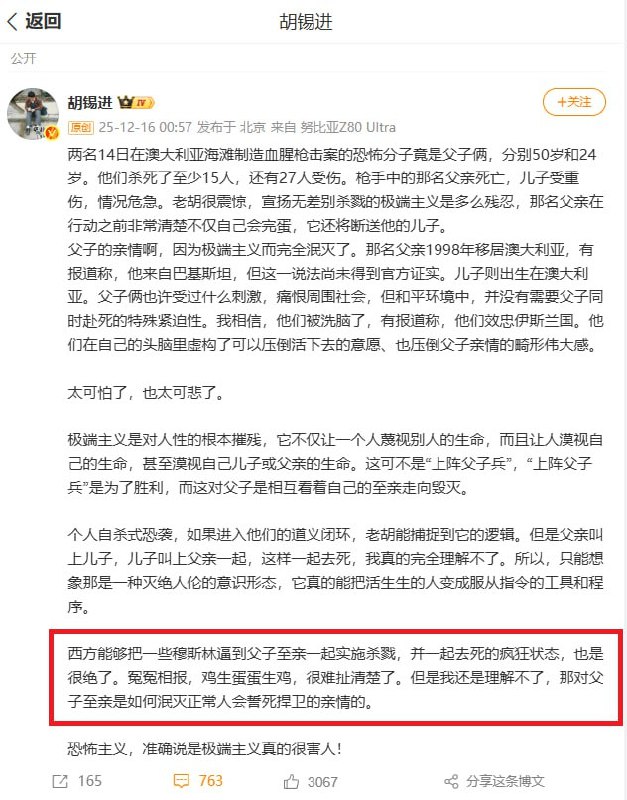 12月16日，胡锡进发微博称：“西方能够把一些穆斯林逼到父子至亲一起实施杀戮，并一起去死的疯狂状态，也是很绝了