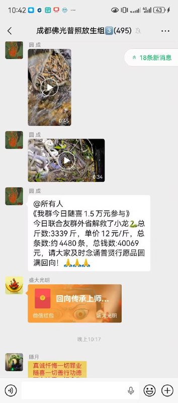 网传成都青山湖🍉 有人放生4000多条蛇？ 这些人造多大孽 现在放生圈越来越奇葩 有人放生大米 水果 家养牛 清道夫也有人放生感谢家人们投稿！网传成都青山湖🍉 有人放生4000多条蛇？ 这些人造多大孽 现在放生圈越来越奇葩 有人放生大米 水果 家养牛 清道夫也有人放生感谢家人们投稿！