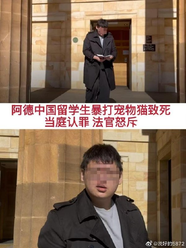 “中国留学生澳洲虐猫致死，被判有罪却未入狱”6月23日，据澳媒报道，中国留学生 Tianxiao Zhao因虐待室友宠物猫致死，在澳洲阿德莱德地方法院被判罪名成立