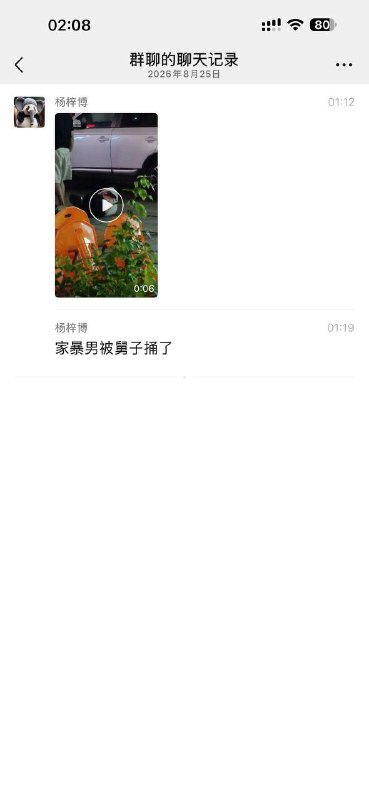 补充！家暴男被大舅哥捅的 活该更多视频