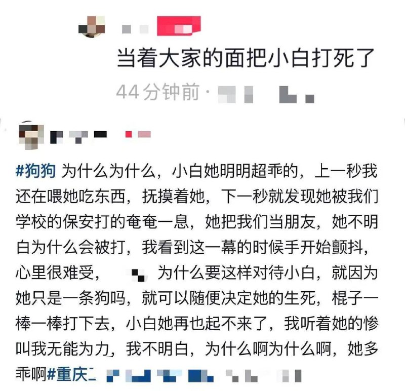 29日，重庆