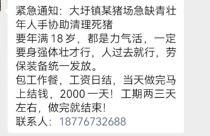 一天两千有没有在附近的🧐感谢家人们投稿！一天两千有没有在附近的🧐感谢家人们投稿！
