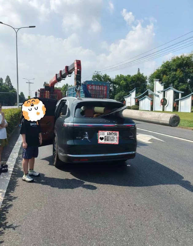🤯智驾感谢家人们投稿！🤯智驾感谢家人们投稿！