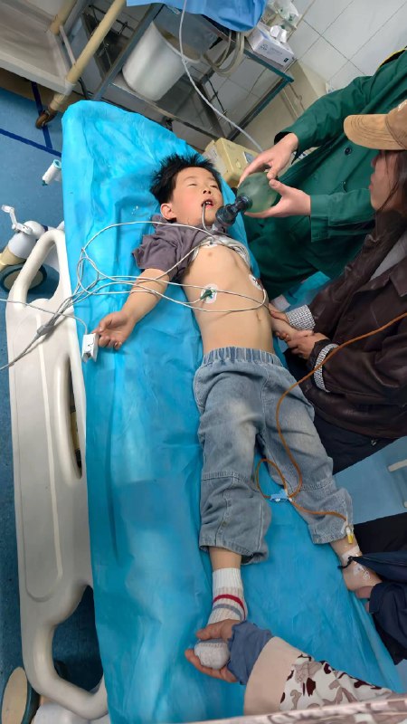 本人孩子张嘉航，就读于盐山博慧幼儿园（红庙道口园）