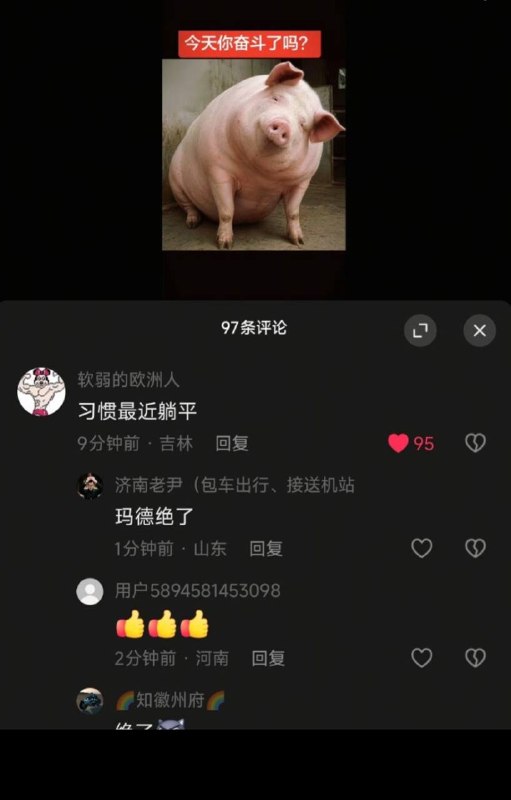 抖友最近胆大了哦感谢家人们投稿！